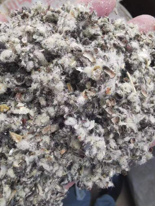 丁晓彬,公司经营范围包括:棉,麻销售;针纺织品及原料销售